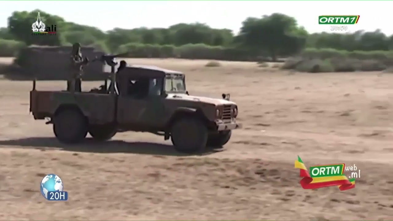 FAMa: Les forces armées maliennes ont conduit une opération d'envergure dans le secteur de Diema
