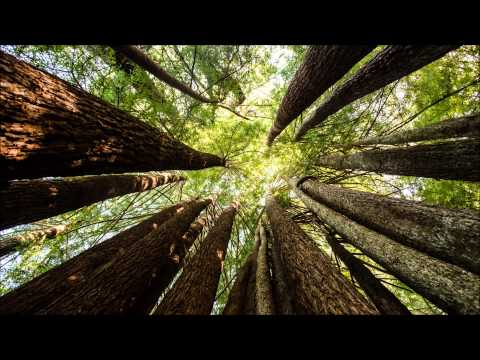 Rank 1 vs M.I.K.E - Elements Of Nature