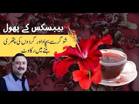 🌺 Hibiscus Flowers, Tea & Leaves: A Natural Powerhouse of Health