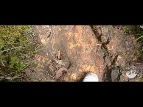 ¡Páramo de Aguas Vivas!