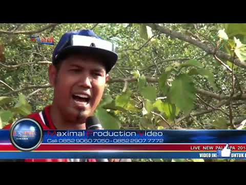 Brodin zakia palapa lambadorc