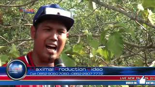 Download lagu Brodin zakia palapa lambadorc mp3