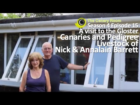 , title : 'The Canary Room Season 4 Ep16- A Visit to Nick & Annalain Barrett and Glenariff Pedigree Livestock'