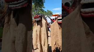 Download lagu BARONGAN CUTA MUDA GEMOY BANGET #barongan #reak #feedshorts #shortvideo #shorts #fyp #mibanda mp3