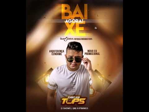 Forró Dos Tops - Surra De Swingue