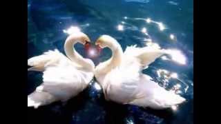 Peter Maffay ♥ இڿڰۣ-ڰۣ— ♥ wer liebt ♥ இڿڰۣ-ڰۣ— ♥ Extra Tour 2013