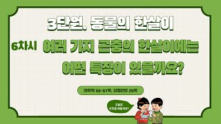 [미니쌤] 3학년 과학 3단원 6차시. 여러 가지 곤충의 한살이에는 어떤 특징이 있을까요?