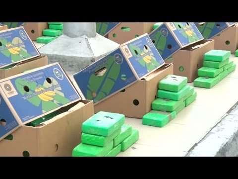 Augen auf beim Bananenkauf! Kokain-Chlorhydrat in Bananenkisten gefunden