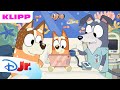 En Berättelse Till Bingo Bluey Disney Junior Sverige
