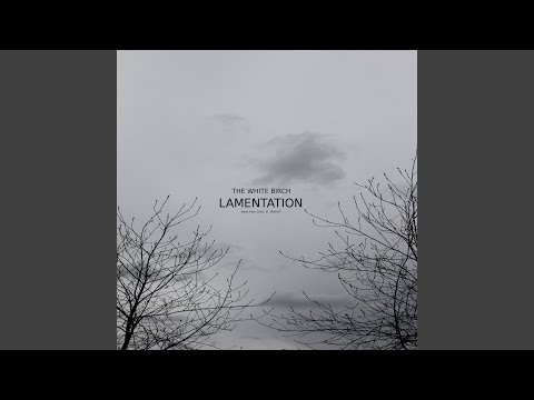 Lamentation (Oslo, 31. August Version)