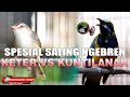 SALING NGEBREN TEMBAKAN MASTERAN SPESIAL CIWAH NGEBREN VS CUCAK CUNGKOK KUNTILANAK