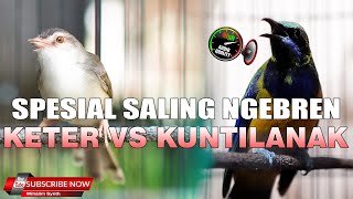 Download lagu SALING NGEBREN TEMBAKAN MASTERAN SPESIAL CIWAH NGEBREN VS CUCAK CUNGKOK KUNTILANAK mp3