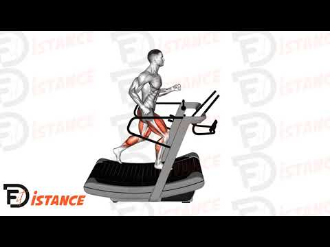 Course sur tapis d'assault - Exercice Course sur tapis d'assault en vidéo Course sur tapis d'assault - Exercice Course sur tapis d'assault en vidéo