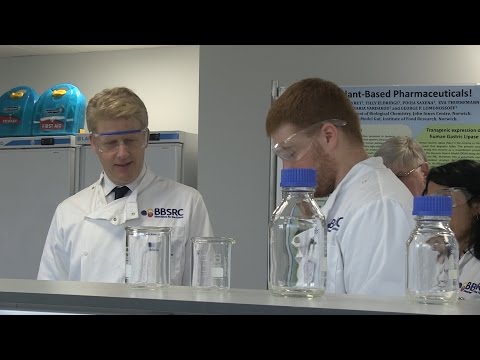 World-leading innovation: The Norwich research centre using plants to help fight the flu