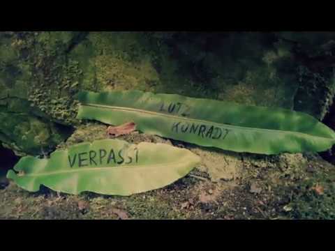 Lutz Konradt - Verpasst (Official Video)