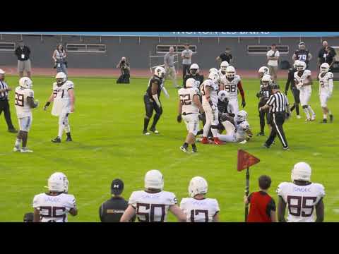 🏈 D1 Élite - Le résumé du match Black Panthers - Dauphins