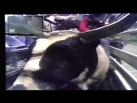 BJ Kramps increases to 80% avg in PBR Greensboro NC