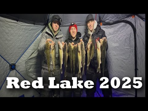 Red Lake Early Ice Walleyes 2025 (3-Man Limit)