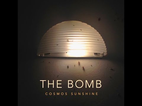 Cosmos Sunshine & The Butterfly Effect ~ The Bomb