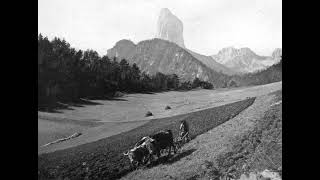 17. Precious Memories - Sister Rosetta Tharpe