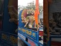 Shiv Ji Ki Baraat Shivratri Ki Shobhayatra