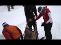 Dogsled Out Of Control What Just Happened