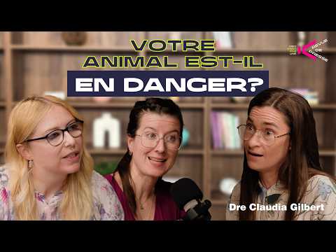Rage, tiques, canicule : les dangers qui menacent nos animaux