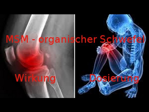 MSM - organischer Schwefel * Wirkung * Dosierung * Vorkommen in der Natur *