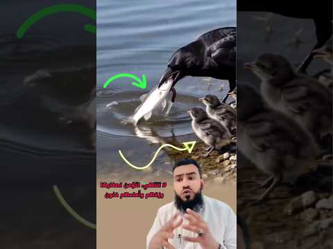 الأم لا تمنح الحياة فقط، بل تمنح صغارها الأسباب ليعيشوها بشجاعة😍🥰 #trending #الام #scary #shorts