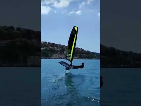 Tommy training waszp x