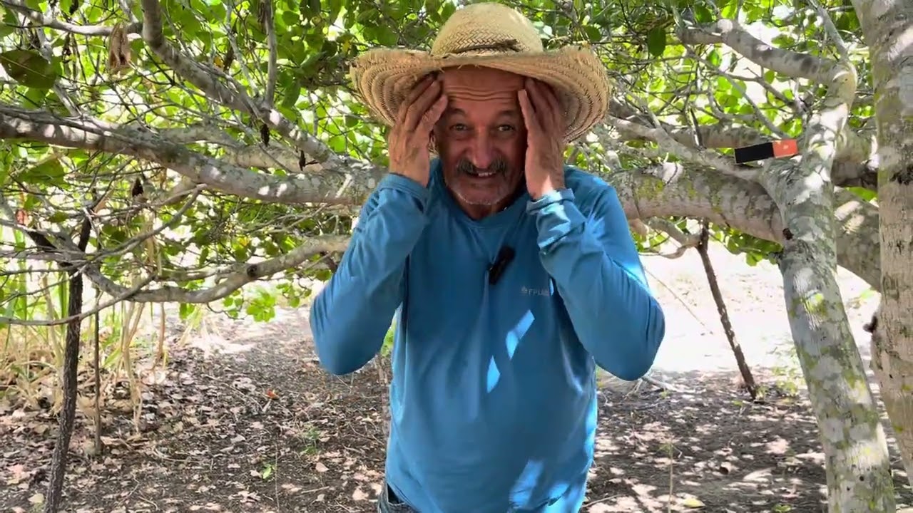 O dia que meu filho foi picado por uma cobra jararaca