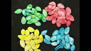 3 Creative Ways to Use Pumpkin Seeds in Your Classroom