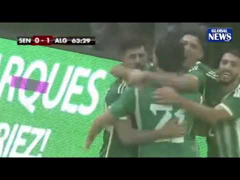 Sénégal – Algérie : Chaïbi ouvre le score pour les Fennecs ! (vidéo)