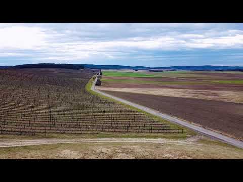 Drohnenflug über die Puszta Siegendorf im Burgenland, Österreich.