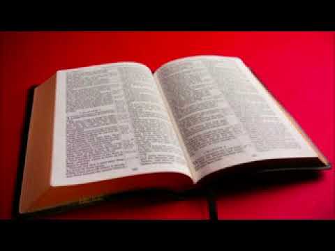 Pr. Amilton Menezes  -   A Palavra não volta .