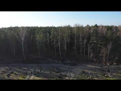 S17, odcinek Kołbiel - Garwolin, przejście górne dla zwierząt