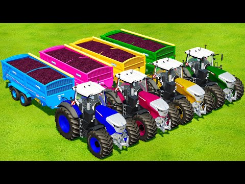 HARVESTING AND LOAD RED CABBAGE WITH FENDT 1000 COLORED TRACTORS - Farming Simulator 22