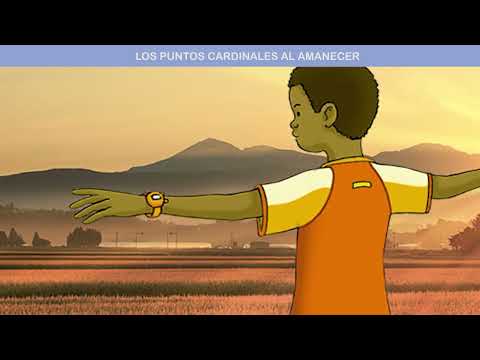 Los puntos cardinales. El Sol nos ayuda a orientarnos.