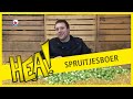 HEA! Spruitjesboer Yde