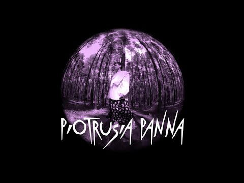 ta Ukrainka – PIOTRUSIA PANNA (Official Audio)