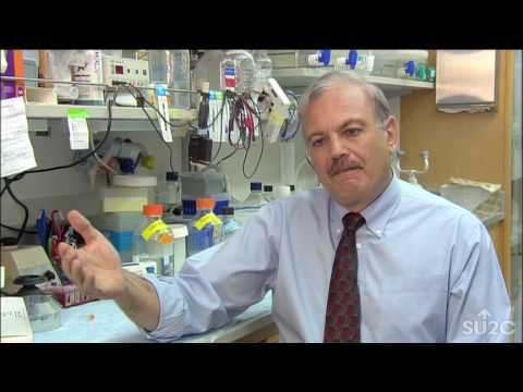 Dr. Dennis Slamon's Inspiration Behind "Living Proof" | Stand Up To Cancer
