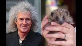 Brian May on decline in Hedgehogs 26082016 (rec 2408)
