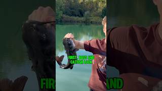 Download lagu Secret Underwater Sounds To Attract Bass And Catfish! 🎣🐟 #shorts #fishing mp3