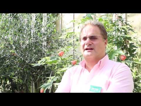 The Company of Biologists Workshops- Evolution of the Human Neocortex