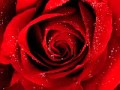 A R Rahman BGM Instrumental Tamil Sillunu Oru Kadhal Mpeg4 Mp4