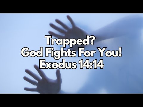 Trapped? God Fights For You! - Exodus 14:14 - Daily Devotion - Daily Bible Verse
