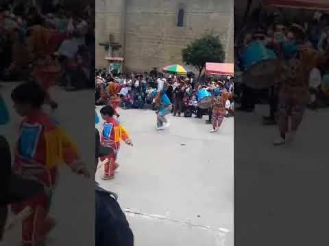 Negrillos de andahuaylas