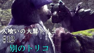【人喰いの大鷲トリコ】第十二回　別のトリコ