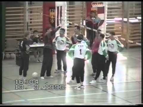 Union Rohrbach/Berg: Faustball (1993)