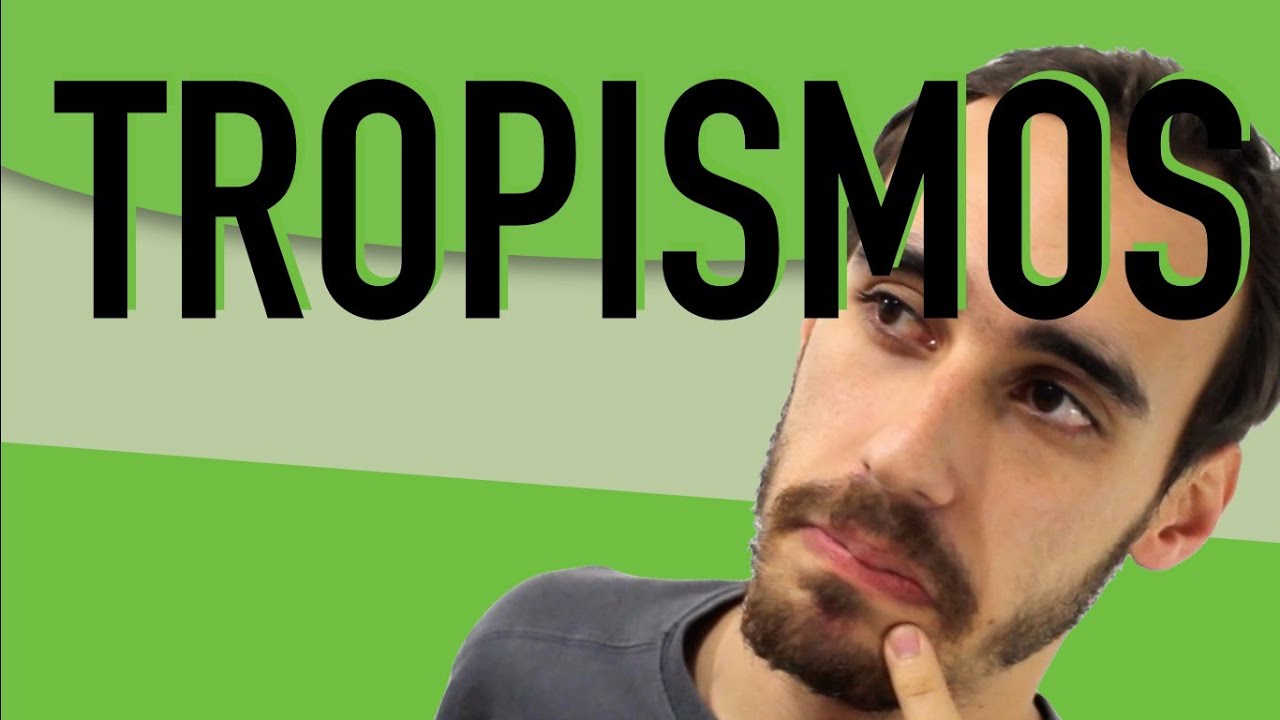 Botânica - Movimentos Vegetais: Tropismos